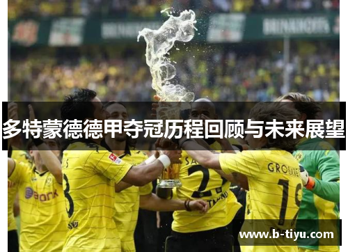 多特蒙德德甲夺冠历程回顾与未来展望