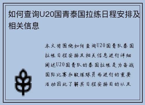 如何查询U20国青泰国拉练日程安排及相关信息