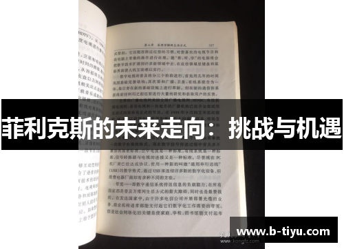 菲利克斯的未来走向：挑战与机遇